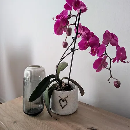Apartamento Casa Dimatore Dolo